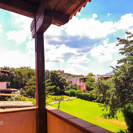 Juniperus * Costa Smeralda