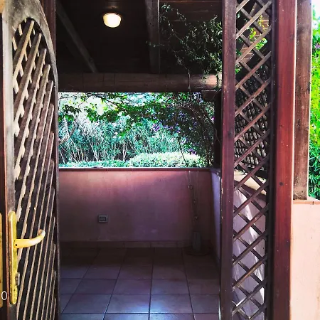 Juniperus Appartement *