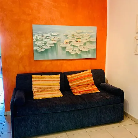 Juniperus Costa Smeralda