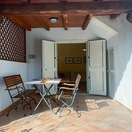 Juniperus Costa Smeralda