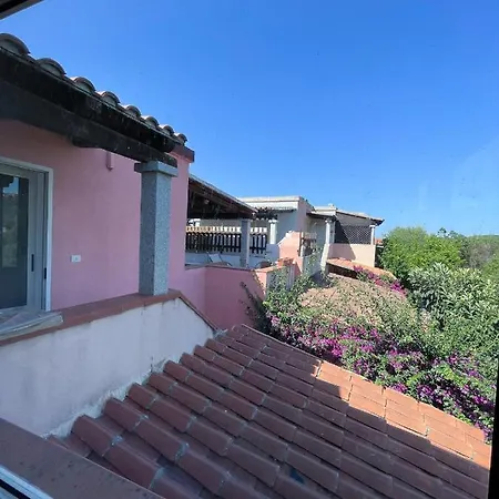 Juniperus * Costa Smeralda