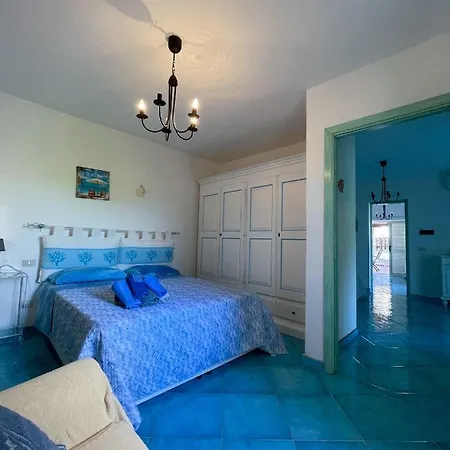 Juniperus Costa Smeralda