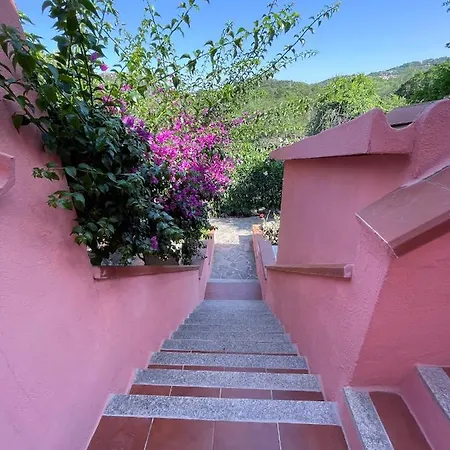 Appartement Juniperus *