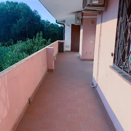 Juniperus * Costa Smeralda