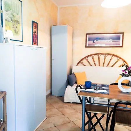 Juniperus Costa Smeralda