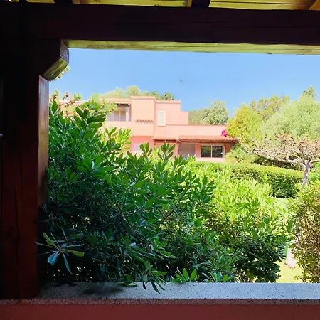 Juniperus Appartement *