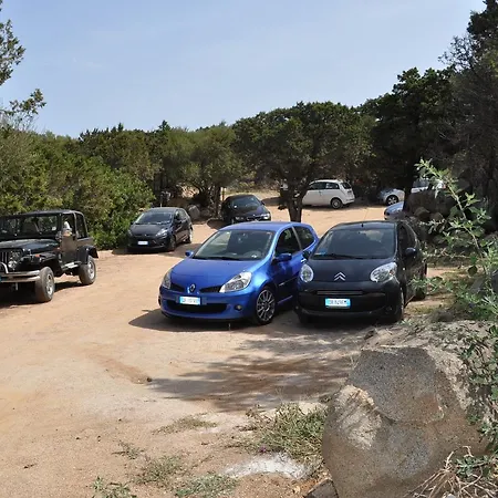 Juniperus Appartement