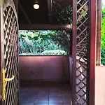 Juniperus Appartement *