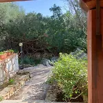 Juniperus Costa Smeralda