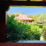 Juniperus Appartement *