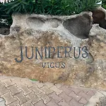 Juniperus Costa Smeralda