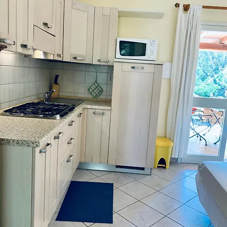 Juniperus Appartement