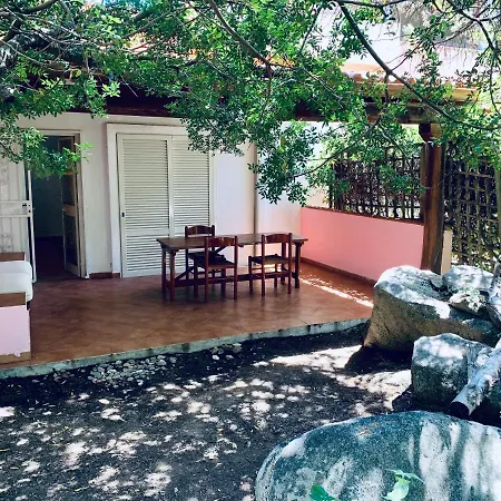 Juniperus * Costa Smeralda