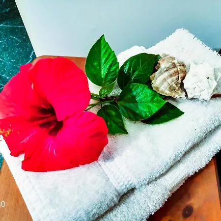 Juniperus Apartamento