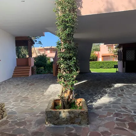 Juniperus * Porto Rotondo