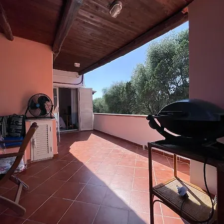 Juniperus Apartment