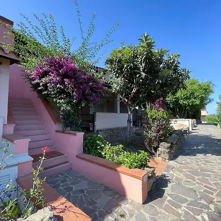 Juniperus Costa Smeralda