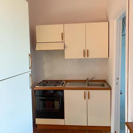 Juniperus Apartament