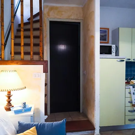 Juniperus * Costa Smeralda