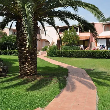 Juniperus Costa Smeralda