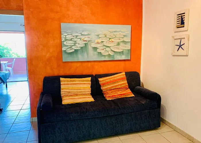 Juniperus Costa Smeralda