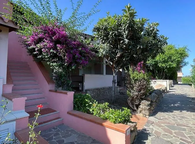 Juniperus Costa Smeralda