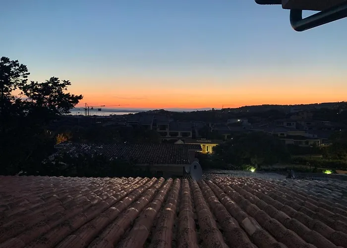 Juniperus * Costa Smeralda